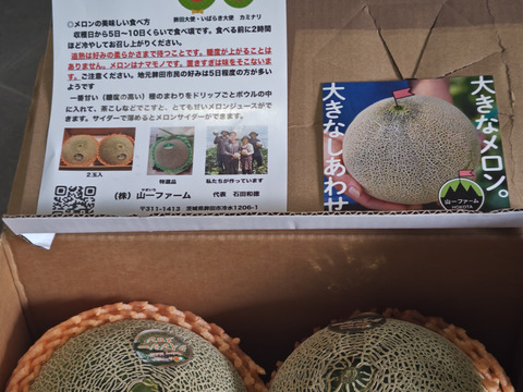 2024茨城メロン品評会グランプリ受賞 👑クインシーメロン(5L特大2個入り)