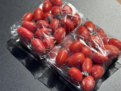 皮むき不要！すぐ使える冷凍ミニトマト（福島県おおくま産）