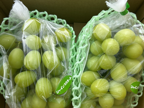 しげみきのぶ様　シャインマスカット2kg 石川 DSC09777_1665734088159_400.jpg