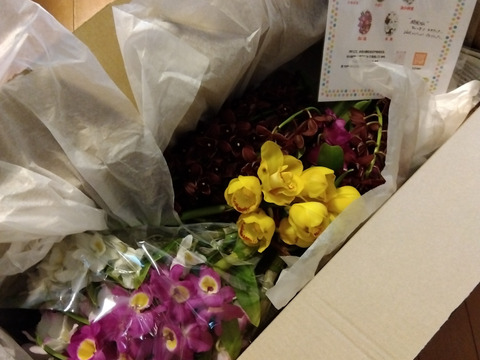 【春のお祝いにもどうぞ♡】デンドロビウムの花束