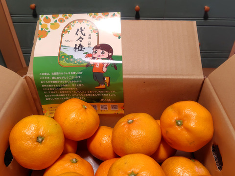 とろ蜜みかん 3kg（訳あり）