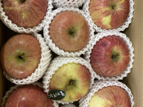 ★★新春セール★★【冬ギフト】 🍎レビュー数1800件突破！！《家庭用》青森完熟葉とらずふじ８〜１２玉(約３kg)🍎ID119812