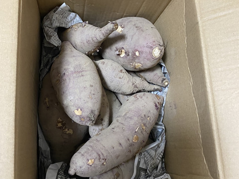 処分価格！【ねっとり 甘～い熟成紅はるか　４.５Kg   】