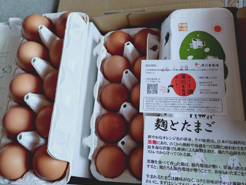 『食べチョクアワード殿堂入り』【黒麹・30個】オレンジ色が鮮やか🎵濃厚な黄身🍳、黒麹育ちの赤たまご 30個