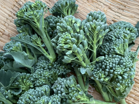 茎まで美味しいスティックセニョール 100g