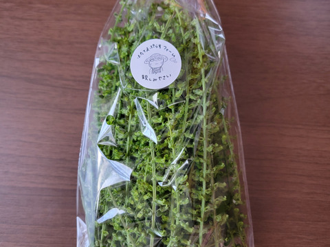 香り爽やか！紫蘇の実(穂紫蘇)100g