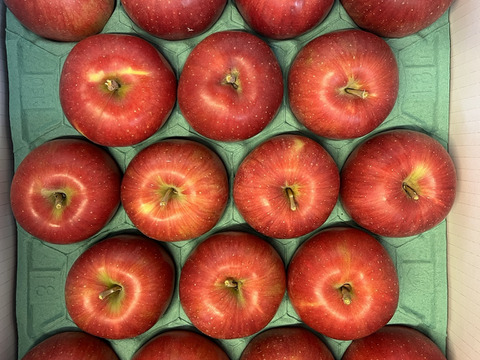 【予約販売】やさしい甘さ シナノスイート 約5kg(14～20個)