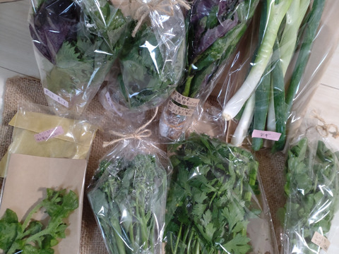 【お買い得☆旬の野菜セット（10品〜13品目）☆７月☆８月】新鮮お野菜🌿🫛🧅農薬、除草剤、化学肥料等、一切不使用☆ゆうパック🏣80サイズにたっぷりお入れいたします☆