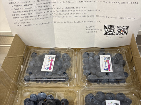 ”ベリーさん”の完熟ブルーベリー品種ミックス 500g（125g×4パック）【生食用】