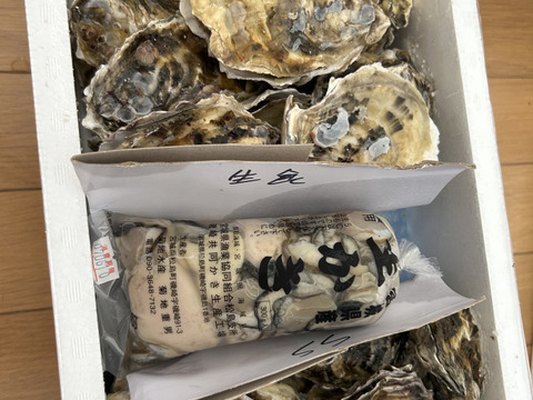 【期間限定10％値引き販売中】剥き身セット🚚2.3kg 生牡蠣🦪生食用むき身300g+殻付き牡蠣普通サイズ ２kg（目安12-32個）松島牡蠣屋 C