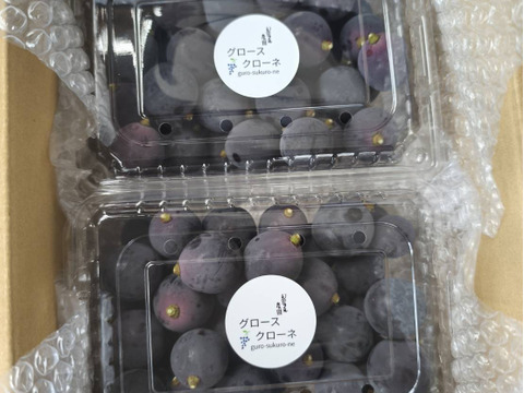 岡山県産グロースクローネ1キロ粒(500gパック×2)