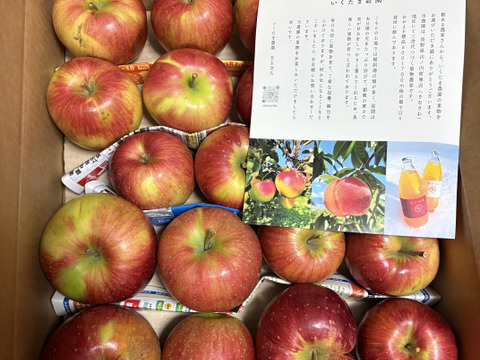 大訳あり シナノスイート5キロ箱 長野県産