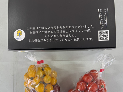 【食べ比べセット】カラフルミニトマト1Kg