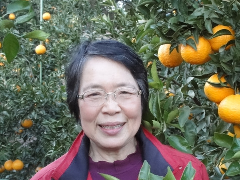 【🍊青島温州 5kg 】糖酸のバランスの取れたみかんです。年明けは北の産地が本命！