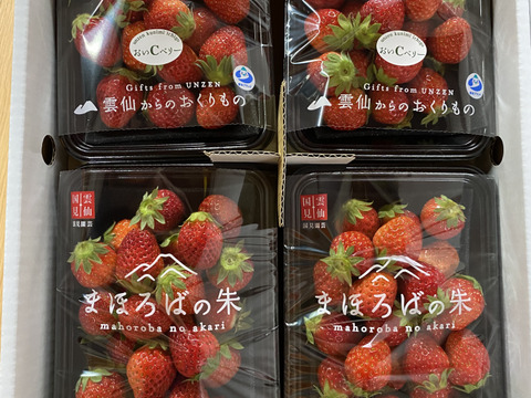 春はまほろば🍓やうやう朱くなりゆく勾玉 おいCベリー200g×8パック【小粒1.6㎏】