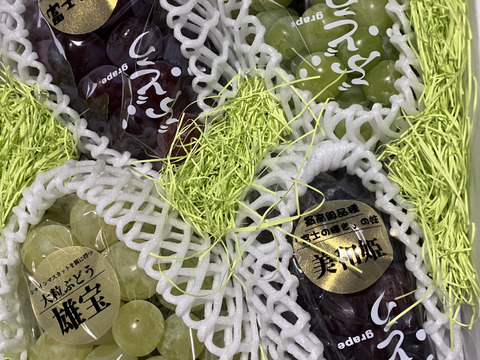山梨県産ぶどう　美和姫　共選シャイン　4房入り箱込み約2.7kg 超高級4種親子食べ比べセット！富士の輝、美和姫、雄宝、シャイン