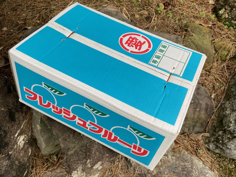 完熟★せとか（露地もの）家庭用5kg