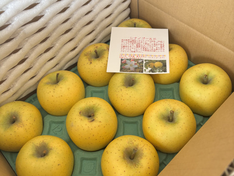 シナノゴールド　更にお値下げ！　お徳用　訳あり　ご家庭専用 ご好評販売中　3キロコース　(10個から12個前後入り）