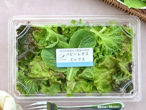 とろける食感！数種類のベビーレタスで豪華な料理に！山形のスーパーでしか売ってない商品を全国に！野菜室でかなり日持ちします。