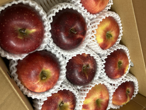 【りんご】福島県オリジナル品種！酸味が美味！「べにこはく3ｋｇ」（フリーサイズ）