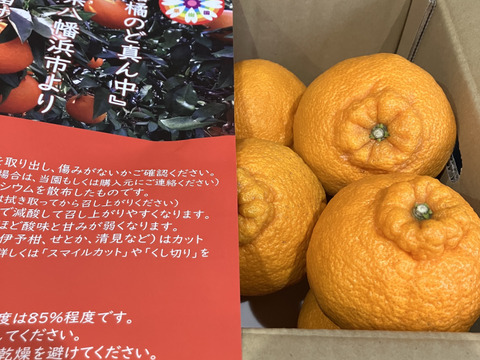 【家庭用】不知火 4.5kg 糖と酸のせめぎ合い♡スッキリ系ジューシー柑橘♫愛媛みかん！！デコ！！