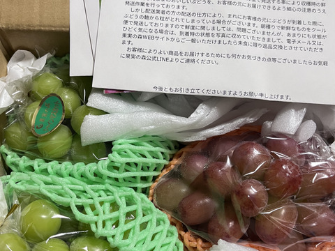 【最新品種】【長野県限定生産】令和7年10月発送開始★種無し★丸ごと★クイーンルージュ（1房400g以上）