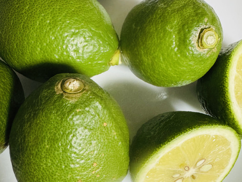 甘酸っぱい　グリーンレモン1ｋｇ　和歌山県産　ユーレカ【防腐剤・ワックス不使用】