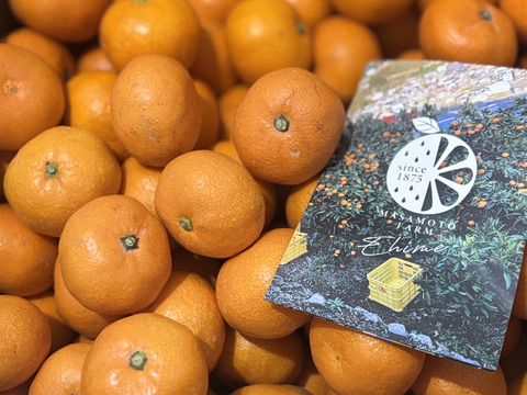 【訳あり】ご家庭用小玉みかん10kg