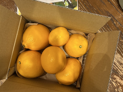 有機JAS八丈島レモン完熟（サイズMIX)1㎏
防腐剤不使用、ノーワックス・東京GAP取得！