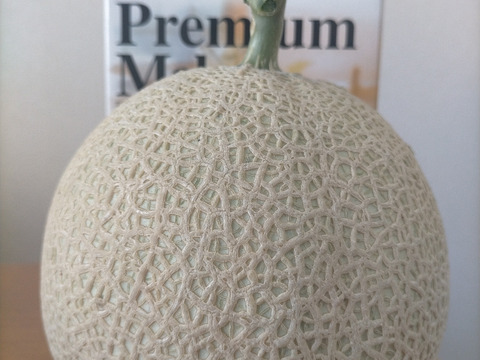 【百貨店に出品しているメロン】アールスメロン(1.3kg~)