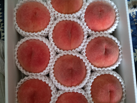 【もも】🍑玉うさぎ 3キロ🍑【かわいい名前】【🐇】【ほどよく固く口当たりまろやか】