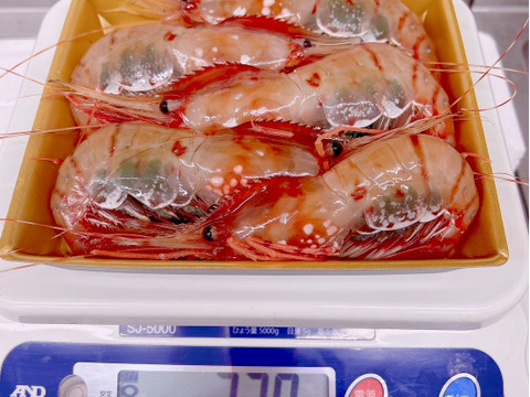 【-60冷凍】デカい！甘い！特上ブリブリ子持ちボタンエビ5P1500g