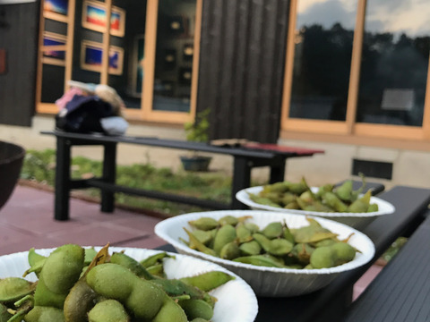 丹波黒枝豆さやのみ１kg（500g袋x ２）自然栽培　農薬化学肥料完全不使用！【完売！】