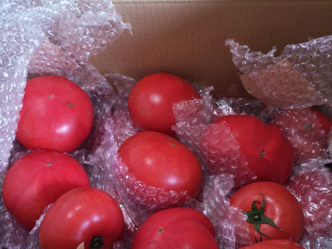 【新年度割引中】【余韻の旨さ】完全完熟トマト 約4kg   15〜30個入り🍅  【母の日ギフト】
