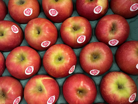 【発送中🍎】ピンクレディー®︎ 家庭用B品 5キロ箱使用 長野県 信州 安曇野 リンゴ 幻 幻のリンゴ 予約 希少 旬 小キズあり 中玉〜小玉 商品ID31409