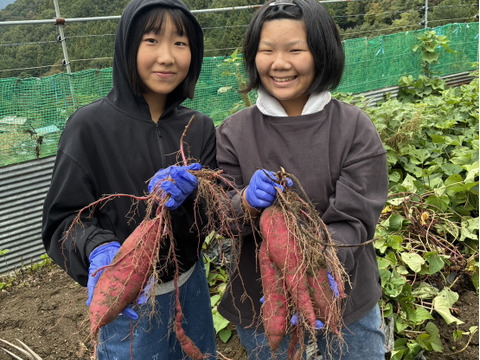 もう少し多めに食べたい方へ　２５００円お勧め旬野菜セット
田口農園徳島「イチオシ旬野菜セット」
農家人が選ぶ旬野菜のおまかせセットです。季節ごとの旬の世界農業遺産ブランド野菜を厳選してお届け致します。