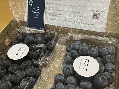 【父の日ギフト】　極早生品種　食べ比べ！　摘みたてブルーベリー500g！【埼玉県産】※生食用　品種はお任せいただき、発送直前に収穫します。