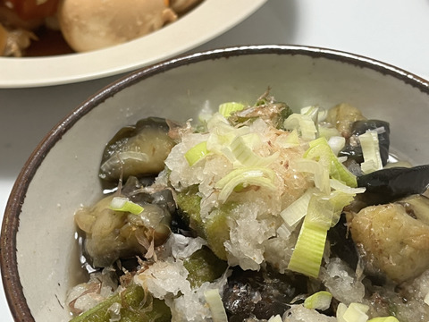 野菜　なす　5キロ　宮崎県産