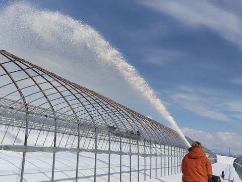 【母の日ギフト】特別な日に贈る北海道米｜ゆめぴりか10kg｜手書きメッセージ付