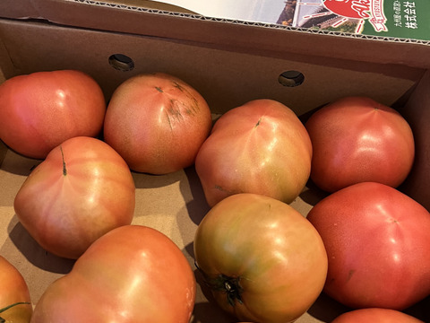 【訳有り品】キズあり不揃いトマト約1.8キロ