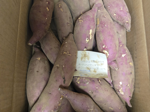 しっとり甘い！｢あまはづき｣ 箱込み約4.8kg(土付き)