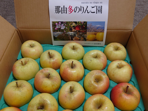 食べた時の甘みが病みつきになる！家庭用ぐんま名月5kg