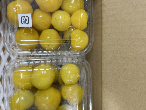 ぷちぷよミニトマト　完熟　 黄色　180ｇ×6ｐ