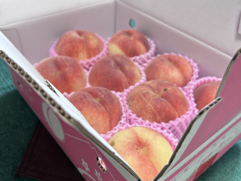 🍑さくら白桃 3kg 8～14玉 9月上旬発送 希少な桃 【ASIAGAP認証