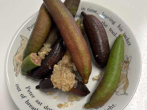 太陽をたっぷり浴びた露地栽培の
フィンガーライム
(少しのキズあります)　50g