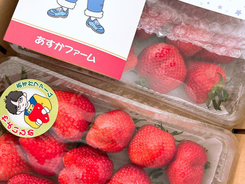 いちごママ様お問い合わせ 6枚目.png