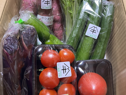 定期便設定（お届け日は２～３日前後します）【たっぷりいろいろ　２０００円セット】農家人が選ぶ旬野菜のおまかせセットです。季節ごとの旬の世界農業遺産ブランド野菜を厳選してお届け致します。