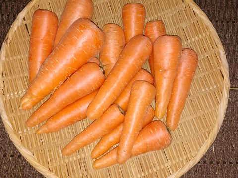 安心・安全なこだわり根菜セット　４種類　８０サイズ