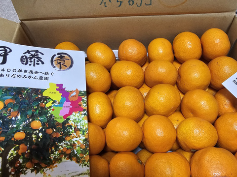 感動のみかん！防腐剤不使用S~Mサイズ5kg とみ子ばぁばの有田みかん＜有田産>【夜市限定】