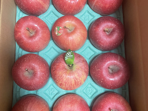 個性派りんご🍎葉隠れサンふじ  冬ギフトにもどうぞ（9個～12個）3キロ箱使用